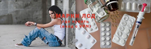 apvp Аркадак