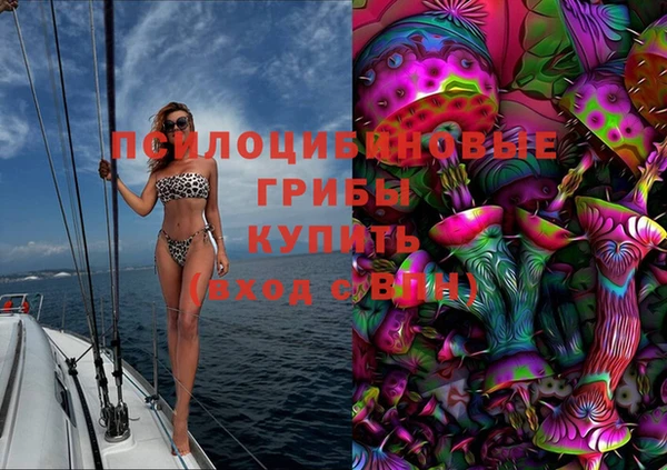 apvp Аркадак
