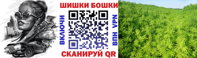 даркнет сайт  Магас  Шишки марихуана Amnesia 